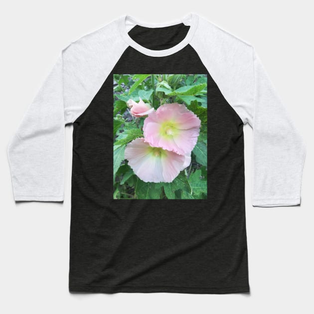 Pale pink hollyhocks photograph Baseball T-Shirt by esvb